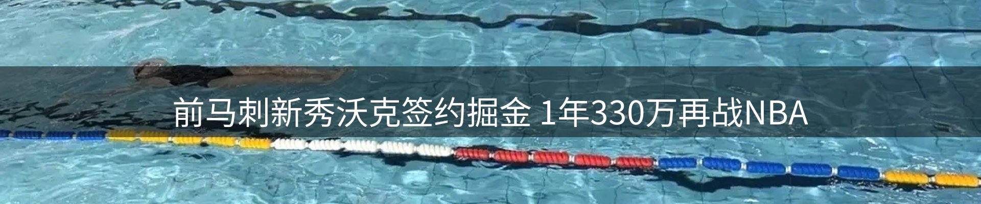 焦点展望