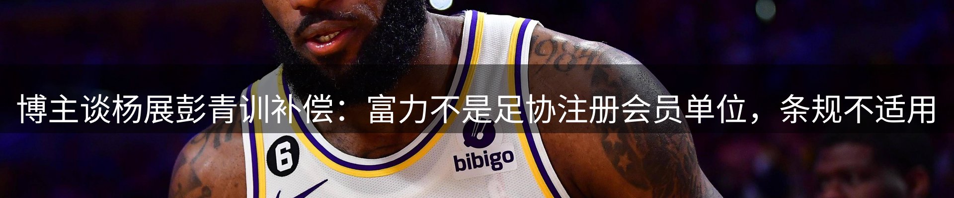 焦点展望