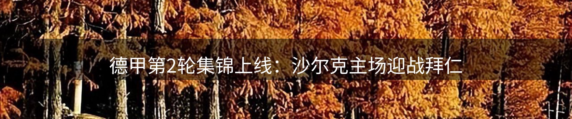 焦点展望