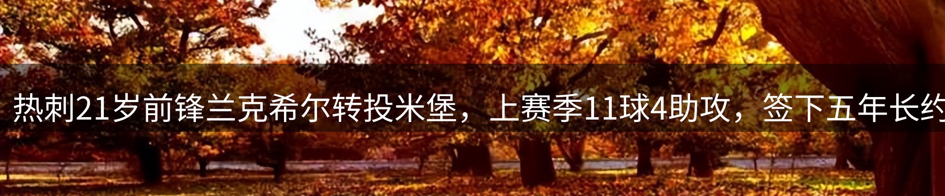 焦点展望