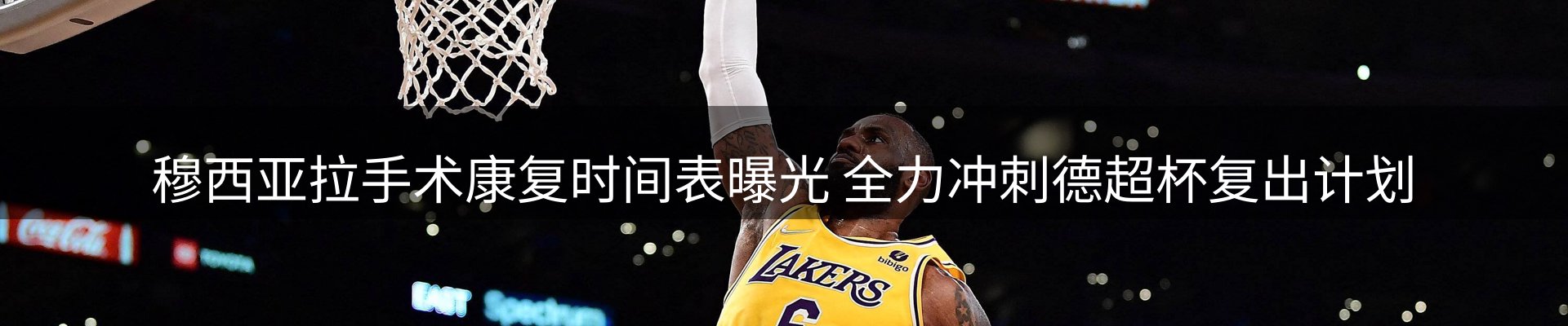 焦点展望