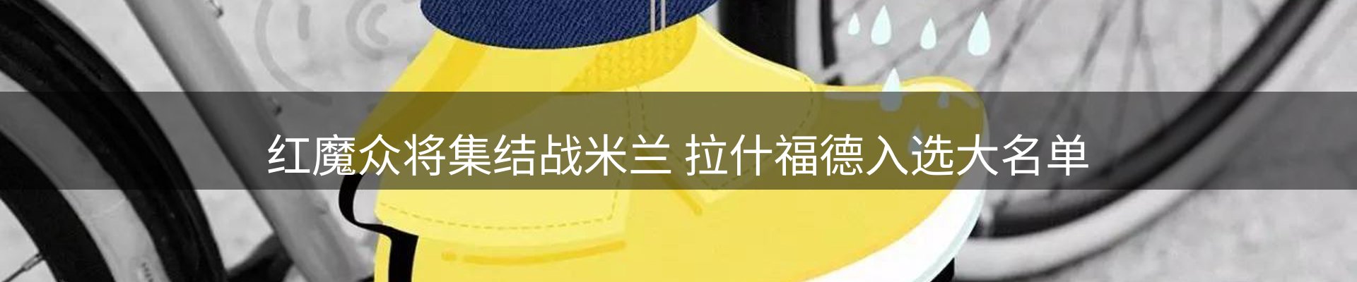 焦点展望