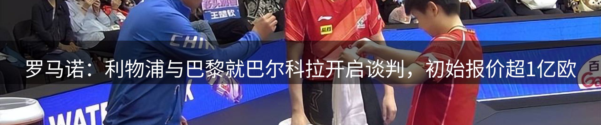 焦点展望