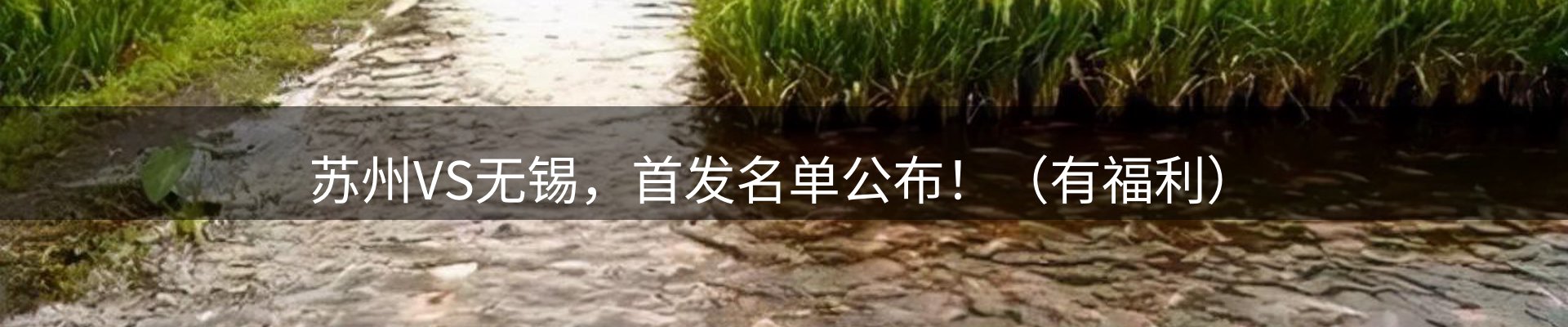 焦点展望