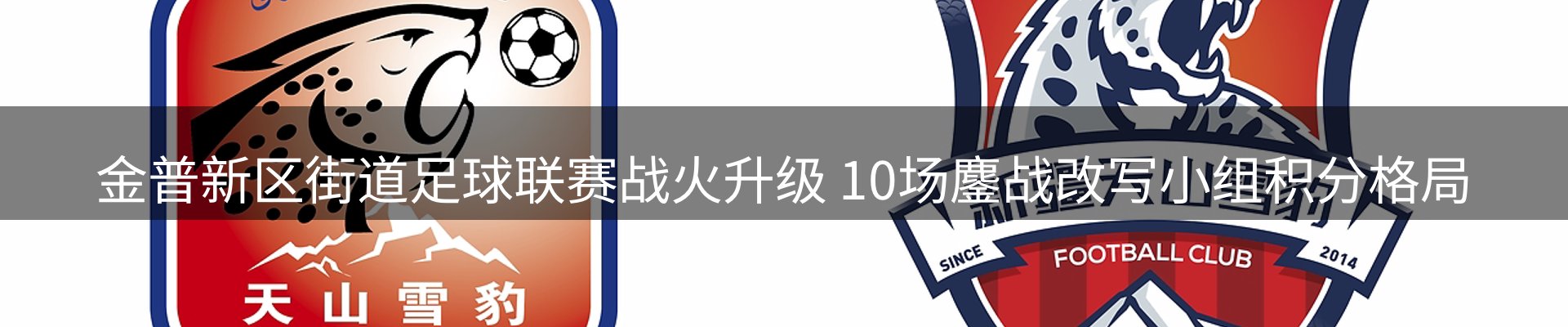 焦点展望