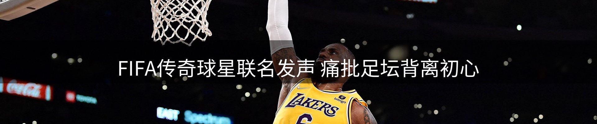 焦点展望